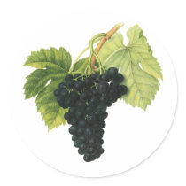 Vintage Fruit; Red Wine Grapes Stickers