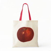 Vintage Fruit; Ripe Red Delicious Apple Bags