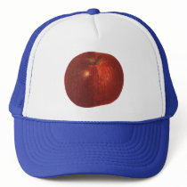 Vintage Fruit; Ripe Red Delicious Apple Hat