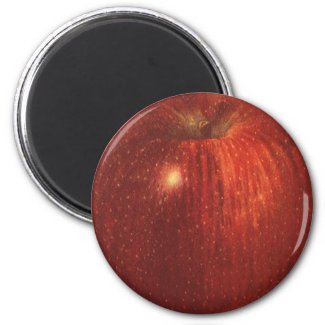 Vintage Fruit; Ripe Red Delicious Apple Refrigerator Magnets