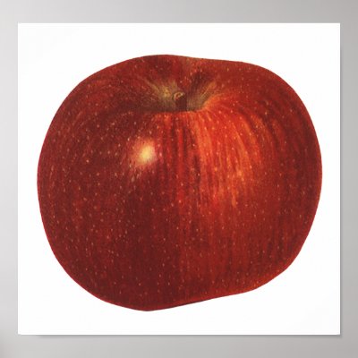 Vintage Fruit; Ripe Red Delicious Apple Posters