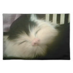 Vintage Fur Black White Kitten Retro Kitty Cat Place Mats