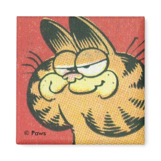 Vintage Garfield magnet magnet