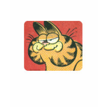 Vintage Garfield, women's shirt