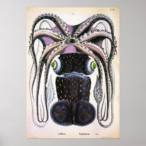 Vintage Giant  Octopus Poster