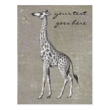 Vintage Giraffe Post Cards