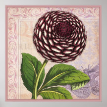 Vintage Globe Dahlia on Damask with Purple Moth Print