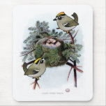 Vintage Golden-crowned Kinglet Mouse Pads