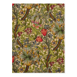 Vintage Golden Lilly Floral Design Post Cards