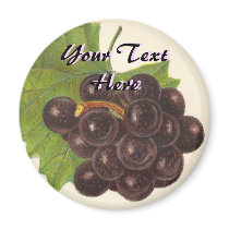 Vintage Grapes Magnet