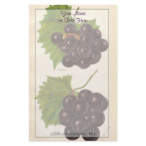 Vintage Grapes Stationery