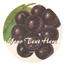 Vintage Grapes Stickers