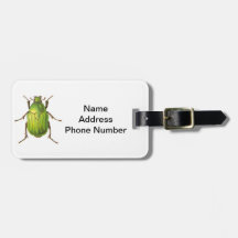 Vintage Green Beetle Luggage Tag