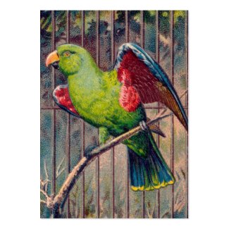 Vintage Green Parrot Print Business Card