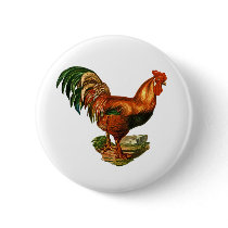 Vintage Green Tail Feathers Rooster Cockerel Pinback Buttons