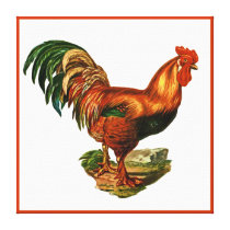 Vintage Green Tail Feathers Rooster Cockerel Canvas Print