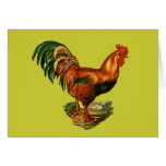 Vintage Green Tail Feathers Rooster Cockerel Greeting Card