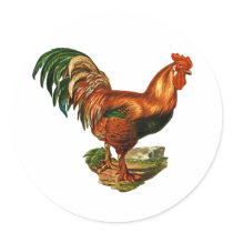 Vintage Green Tail Feathers Rooster Cockerel Sticker
