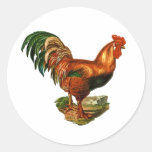 Vintage Green Tail Feathers Rooster Cockerel Sticker