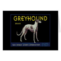 Vintage Greyhound Lemon Label Circa 1920 Card