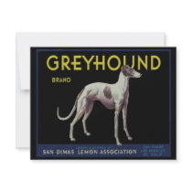 Vintage Greyhound Lemon Label Circa 1920 Announcement