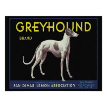 Vintage Greyhound Lemon Label Circa 1920 Announcement
