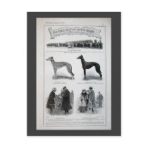 Vintage Greyhound News Clipping postcards