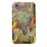Vintage Haeckel Anemones iPhone 3 Case-Mate Case