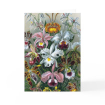 Vintage Haekel Botanical Card