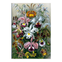 Vintage Haekel Botanical Poster posters
