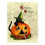 Vintage Halloween Black Cat Postcard
