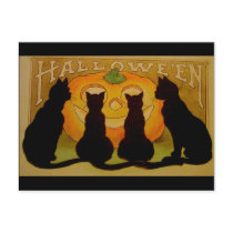 Vintage Halloween Black Cats and Jack O'Lantern Post Cards