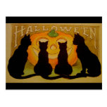 Vintage Halloween Black Cats and Jack O'Lantern Post Cards