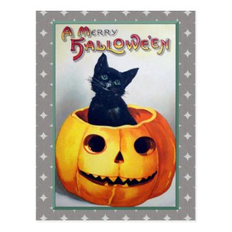 Vintage Halloween Cat and Pumpkin Post Card