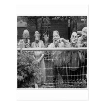 Vintage Halloween Greeting Cards Classic Posters Post Card