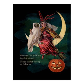 Vintage Halloween Owl and Witch Postcard