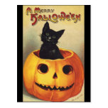 Vintage Halloween Smiling Cute Black Cat Pumpkin Postcard