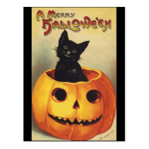 Vintage Halloween Smiling Cute Black Cat Pumpkin Postcard