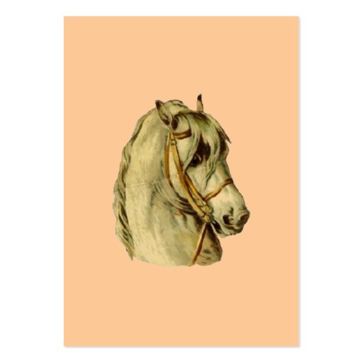 Vintage *Handsome Horse Head* Business Cards (back side)