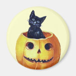 Vintage Happy Halloween Kitty in a Pumpkin Refrigerator Magnets