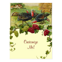 Vintage Happy Thanksgiving Turkey Post Cards