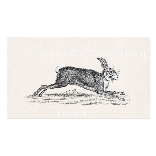 Vintage Hare Bunny Rabbit Illustration - Rabbits Business Card (front side)
