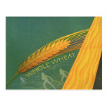 Vintage Healthy Foods, Whole Grain Wheat Bread Post Card