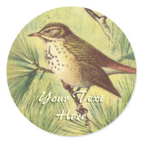 Vintage Hermit Thrush Stickers