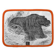 Vintage hippo drawing planners