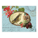 Vintage Holiday-Winter Bird-Postcard postcards