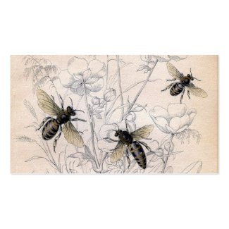 Vintage Honey Bee Art Print Business Card Templates