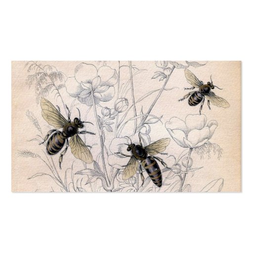 Vintage Honey Bee Art Print Business Card Templates (front side)