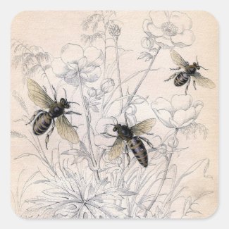 Vintage Honey Bee Art Print Stickers