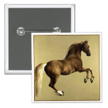 Vintage Horse Art:  Whistlejacket Pinback Button